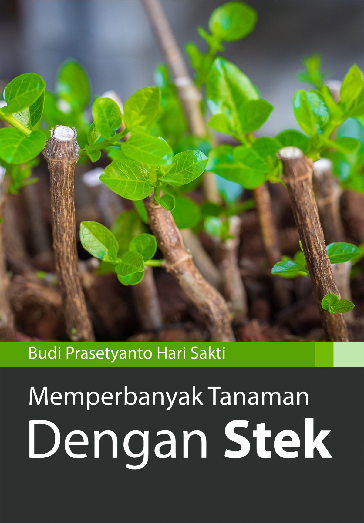 Buku Memperbanyak Tanaman Dengan Stek Deepublish Store