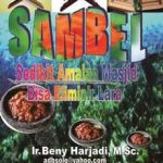 Buku SAMBEL: Sedikit Amalan Masjid Bisa Eliminir Lara