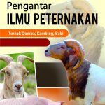 Buku Pengantar Ilmu Peternakan, Domba, Kambing, Babi