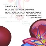 Buku Gangguan Pada Sistem Perkemihan & Penatalaksanaan Keperawatan