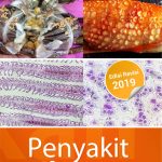 Buku Ajar Penyakit Ikan Edisi Revisi 2019