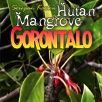 Buku Serapan Karbon Hutan Mangrove Gorontalo