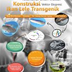 Buku Ajar Aplikasi Teknologi DNA Rekombinan untuk Perakitan Konstruksi Vektor Ekspresi Ikan Lele Transgenik