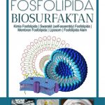 Buku Fosfolipida: Biosurfaktan