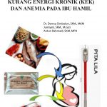 Modul Edukasi Gizi Pencegahan dan Penanggulangan Kurang Energi Kronik (Kek) dan Anemia Pada Ibu Hamil