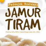 Buku Ajar Petunjuk Budidaya Jamur Tiram