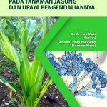 Buku Penyakit Bulai Pada Tanaman Jagung Dan Upaya Pengendaliannya