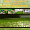 Buku Ajar Perancangan Alat Mesin Penanam (Trasplanter) Bibit Padi Sawah Sederhana