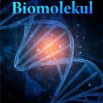 Buku Biomolekul