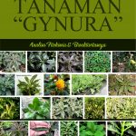 Buku Potensial Farmakologis Tanaman “Gynura” Analisis Fitokimia & Bioaktivitasnya