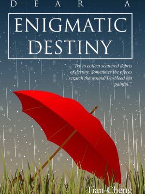 Novel Enigmatic Destiny