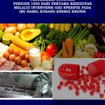 Buku Pencegahan Stunting Periode 1000 Hari Pertama Kehidupan Melalui Intervensi Gizi Spesifik Pada Ibu Hamil Kurang Energi Kronis