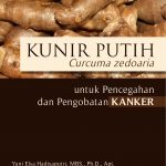 Buku Kunir Putih (Curcuma zedoaria) untuk Pencegahan dan Pengobatan Kanker