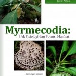 Myrmecodia: Efek Fisiologi Dan Potensi Manfaat