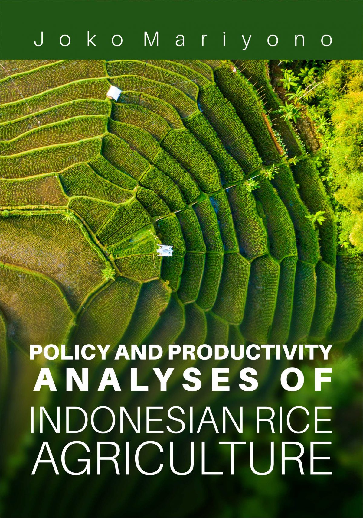 Buku Policy And Productivity Analyses Of Indonesian Rice Agriculture