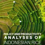 Buku Policy And Productivity Analyses of Indonesian Rice Agriculture