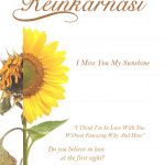 Novel Reinkarnasi