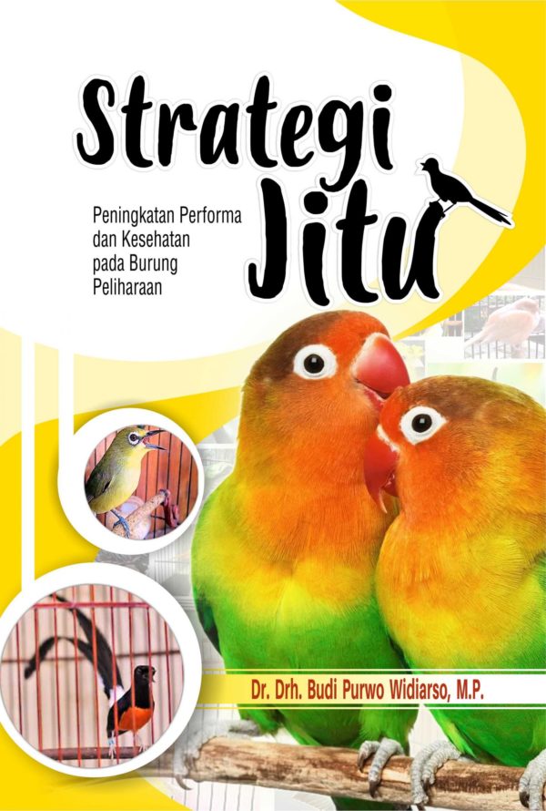 Buku Strategi Jitu