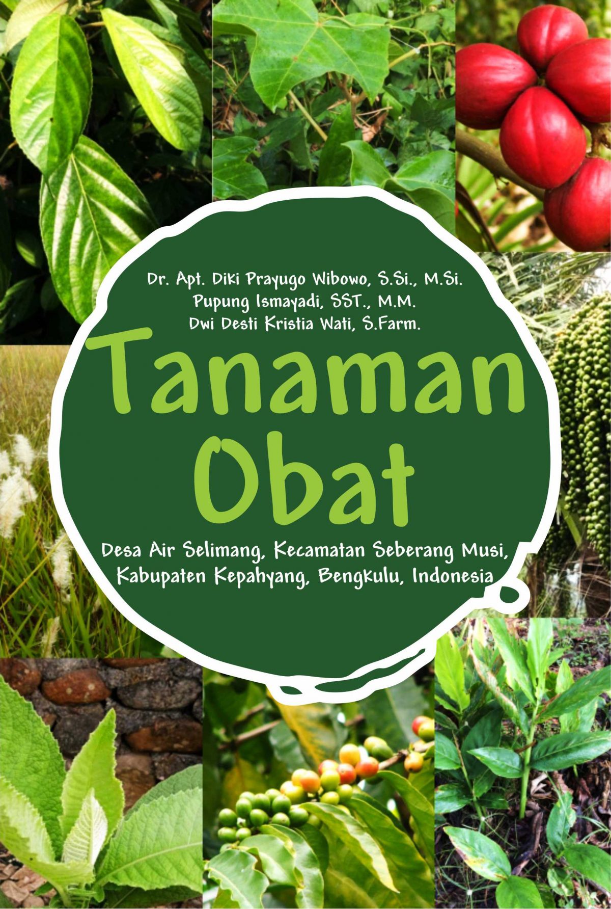 Buku Tanaman Obat Desa Air Selimang, Kecamatan Seberang Musi