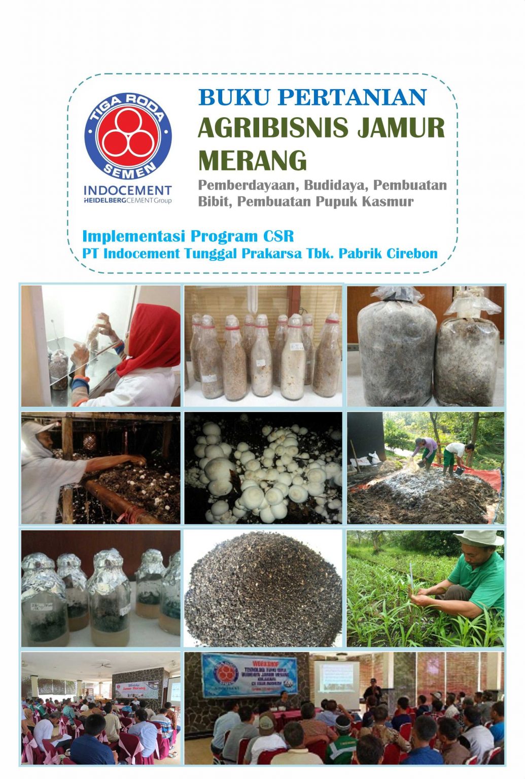 Buku Pertanian Agribisnis Jamur Merang - Penerbit Deepublish