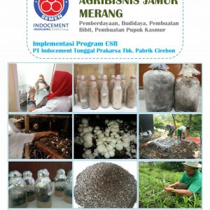 Buku Pertanian Agribisnis Jamur Merang