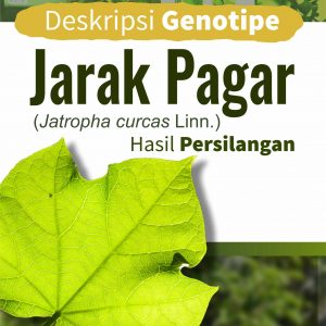 Buku Deskripsi Genotipe Jarak Pagar (Jatropha curcas Linn.) Hasil Persilangan
