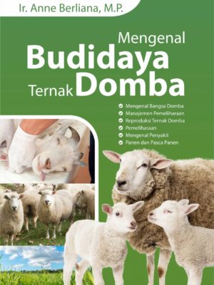 Mengenal Budidaya Ternak Domba