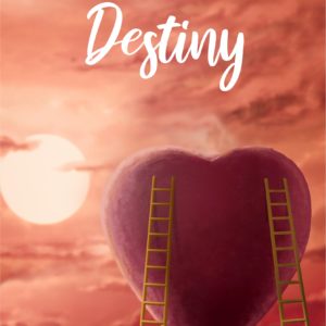 Novel Destiny