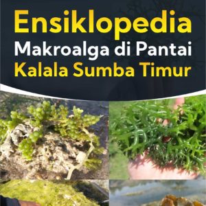 Buku Ensiklopedia Makroalga di Pantai Kalala Sumba Timur