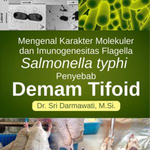 Buku Mengenal Karakter Molekuler dan Imunogenesitas Flagella Salmonella Typhi Penyebab Demam Tifoid