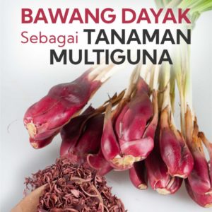 Buku Bawang Dayak Sebagai Tanaman Multiguna