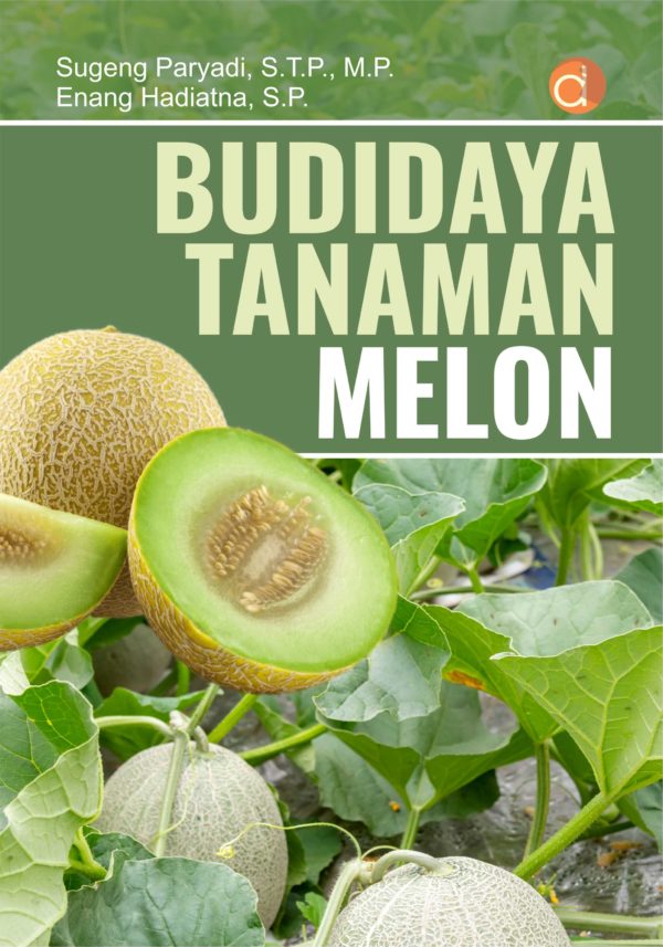 Budidaya Tanaman Melon