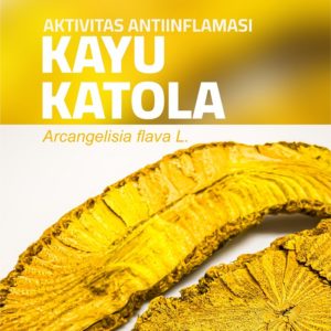 Buku Aktivitas Antiinflamasi Kayu Katola (Arcangelisia flava L.)