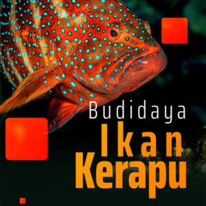 Buku Budidaya Ikan Kerapu