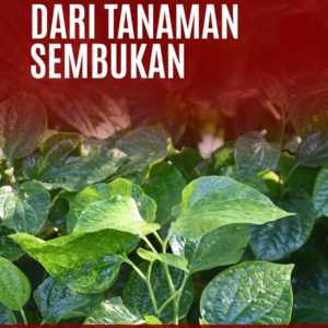 Buku Nanoselulosa Dari Tanaman Sembukan