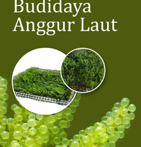 Buku Budidaya Anggur Laut