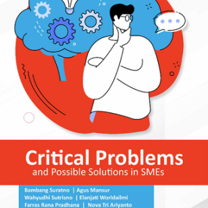 Buku Critical Problems and Possible Solutions in SMEs