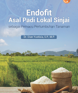 Buku Endofit Asal Padi Lokal Sinjai, sebagai Pemacu Pertumbuhan Tanaman