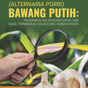 Buku Bercak Ungu (Alternaria Porri) Bawang Putih: Pengendalian dengan Pupuk Cair Hasil Fermentasi Daun Kubis Limbah Panen