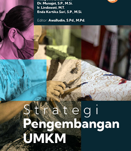 Buku Strategi Pengembangan UMKM