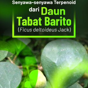 Buku Senyawa-Senyawa Terpenoid dari Daun Tabat Barito (Ficus deltoideus Jack)