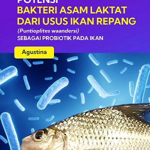Buku Potensi Bakteri Asam Laktat Dari Usus Ikan Repang ( Puntioplites waandersi ) Sebagai Probiotik Pada Ikan