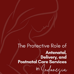 Buku The protective role of antenatal, delivery and postnatal care services  in Indonesia