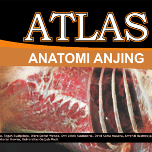 Buku Atlas Anatomi Anjing