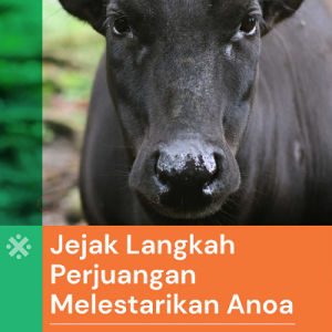 Buku Jejak Langkah Perjuangan Melestarikan Anoa