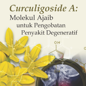 Buku Curculigoside A: Molekul Ajaib untuk Pengobatan Penyakit Degeneratif