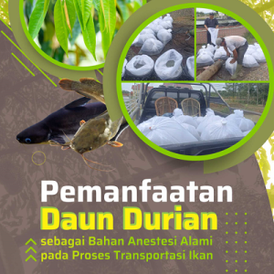 Buku Pemanfaatan Daun Durian sebagai Bahan Anestesi Alami pada Proses Transportasi Ikan