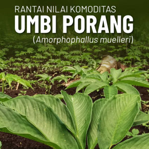 Buku Rantai Nilai Komoditas Umbi Porang (Amorphophallus Muelleri)