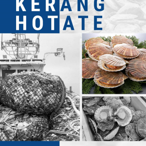 Buku Budidaya Kerang Hotate