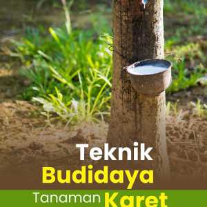 Buku Teknik Budidaya Tanaman Karet
